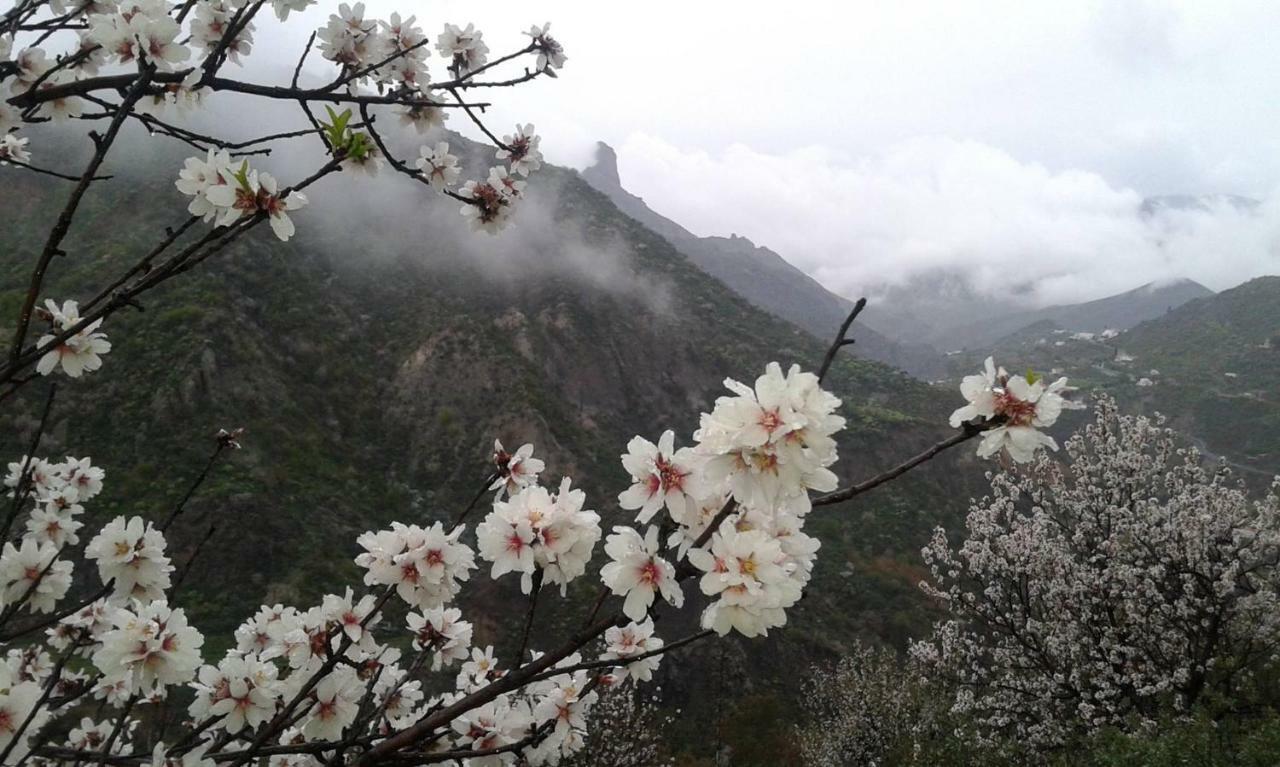 El Fraile Villa Tejeda  Bagian luar foto